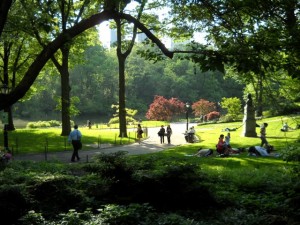 central-park