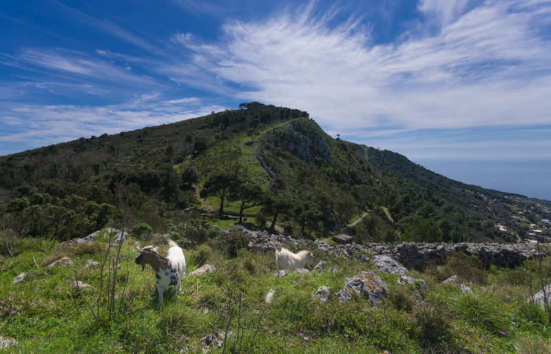 Cetrella e Monte Solaro: il paradiso ad Anacapri