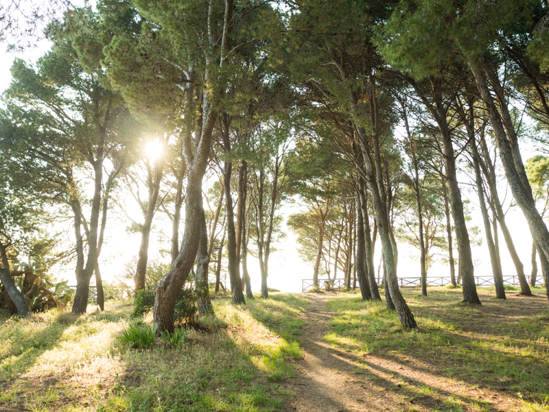 Passeggiata a Damecuta: sulle orme di Tiberio