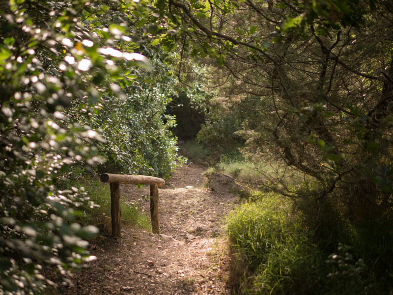 Visita il Parco Filosofico ad Anacapri e conosci te stesso