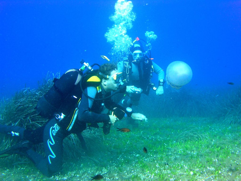 Canarie-scuba