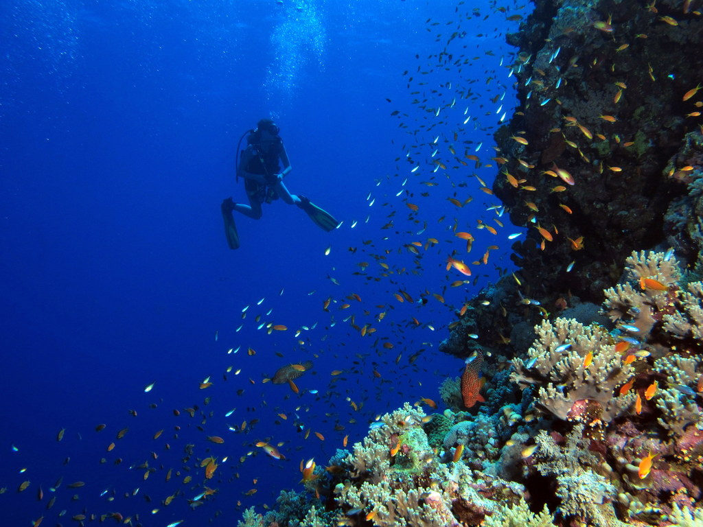 Canarie-scuba-diving