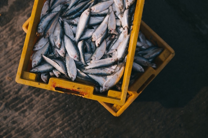 frittura di pesce