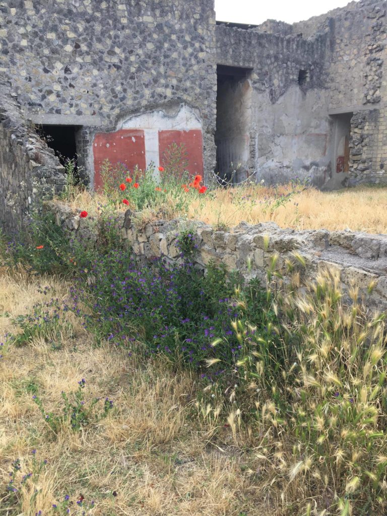 Giardino Villa di Poppea