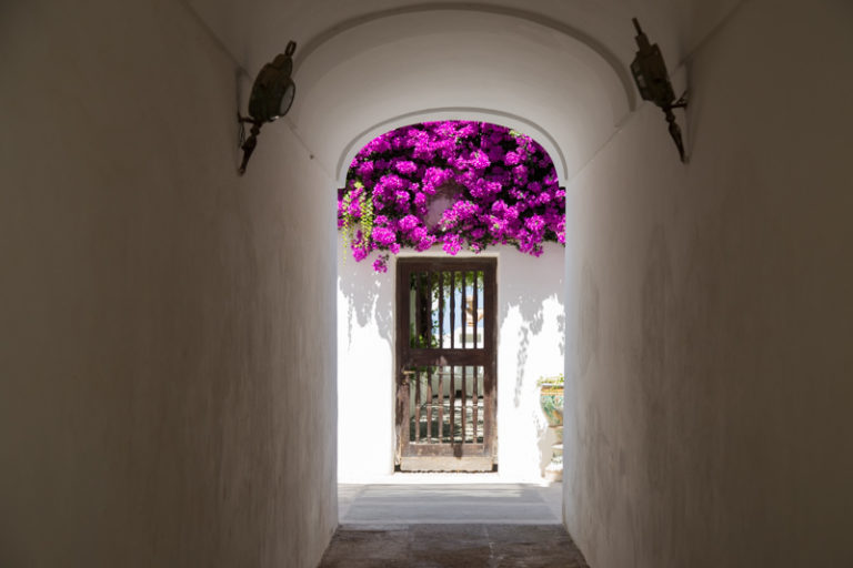 Cancello e fiori Piazza Boffe