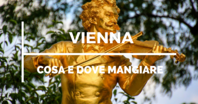 mangiare a vienna