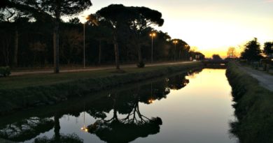 Tramonto Birdwatching nel Parco del delta del Po