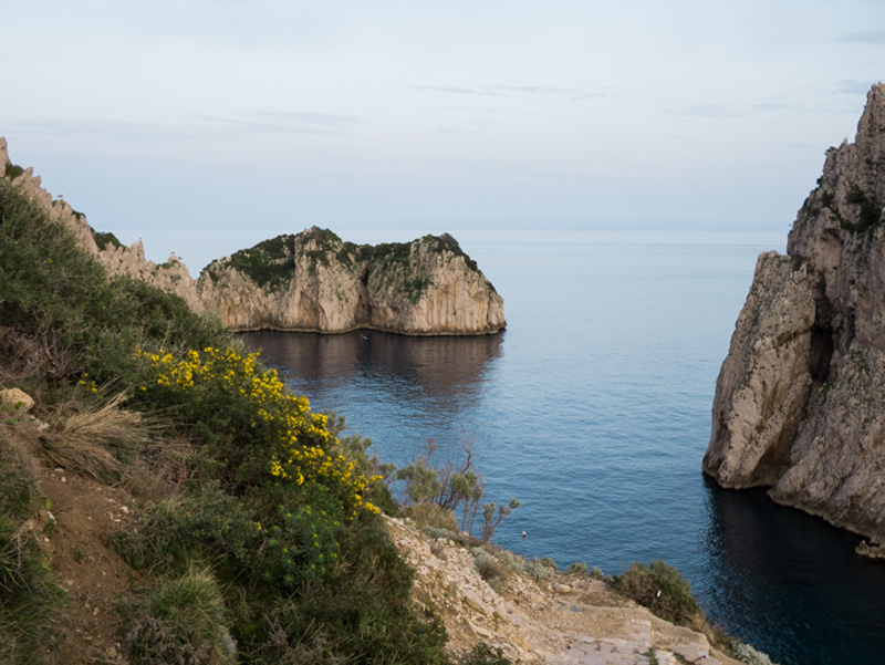 Scoglio e pizza Monacone