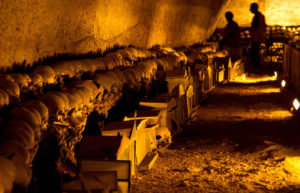 scopri il cimitero delle fontanelle della Napoli Sotterranea