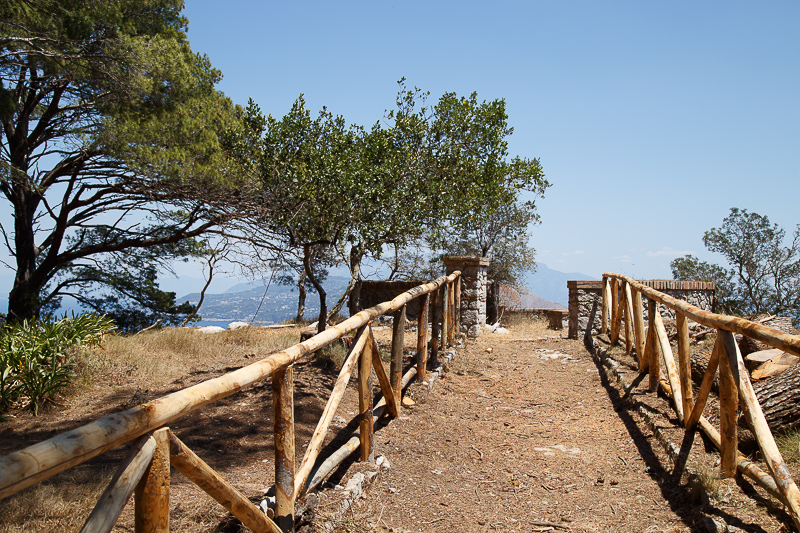 Parco Astarita Capri pini