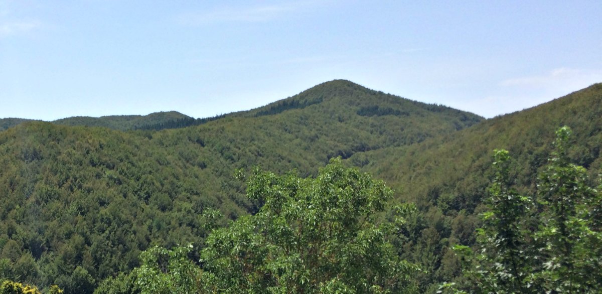 Passo della Sambuca