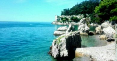 Trieste e dintorni