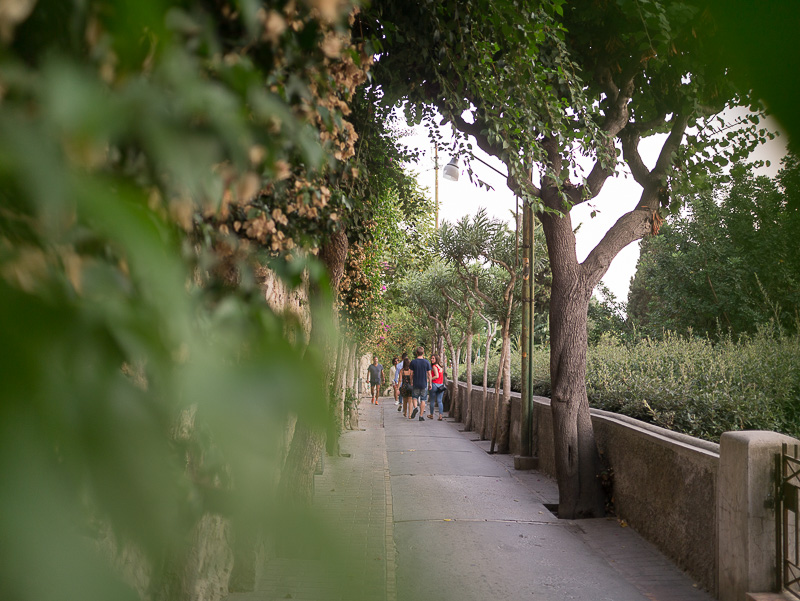 Via Tragara a Capri passeggiata