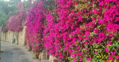 Via Tragara a Capri: strada di sogni e di vite
