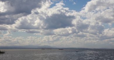 Albufera Valencia
