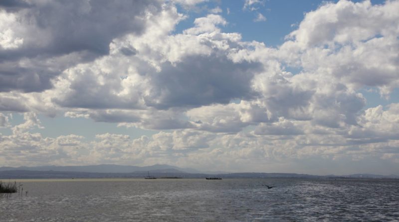 Albufera Valencia