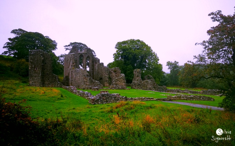 Inch Abbey Trono di Spade