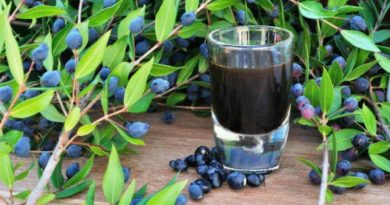Il liquore di mirto fatto in casa: assaggia il nettare degli dei