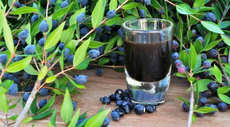 Il liquore di mirto fatto in casa: assaggia il nettare degli dei