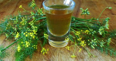 Come fare il liquore al finocchietto selvatico
