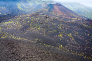 Vista dell' Etna