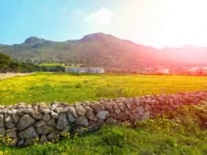 vista di un campo di favignana in pieno giorno