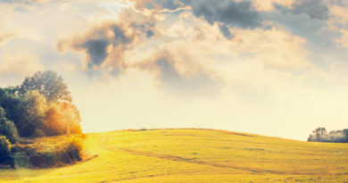 splendida vista della natura selvaggia della maremma toscana