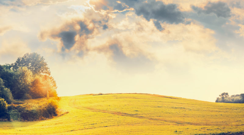 splendida vista della natura selvaggia della maremma toscana