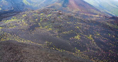 splendida immagine di uno dei crateri del vulcano etna