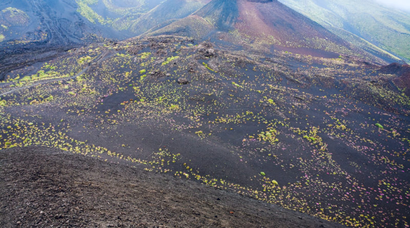 splendida immagine di uno dei crateri del vulcano etna