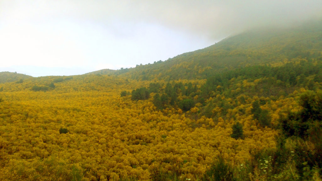 valle dell'inferno trekking campania