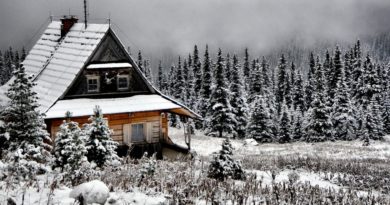 vacanze natale