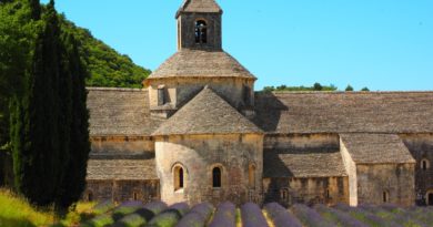 Distesa di Lavanda
