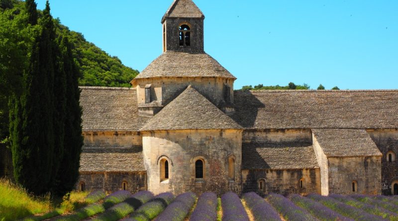 Distesa di Lavanda