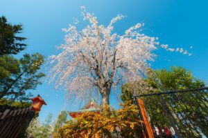 Kyoto, Giappone