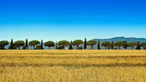 Paesaggio toscano