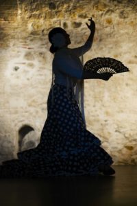 Ballerina di flamenco, tipico ballo Spagnolo