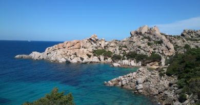 Mare della Sardegna