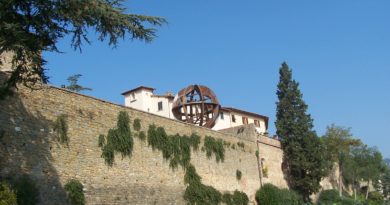 Fonte wikipedia. Borgo di Vinci con veduta sull'uomo di Vinci