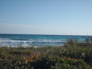 Vista del mare dalla circostante macchia mediterranea.Fonte wikipedia 