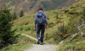 Percorso nella natura