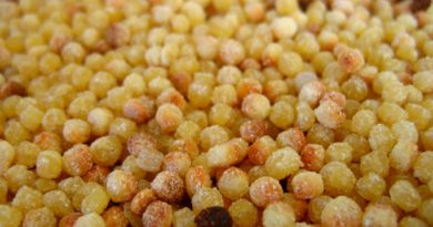 Fregola sarda, pasta di semola, per ricette tradizionale