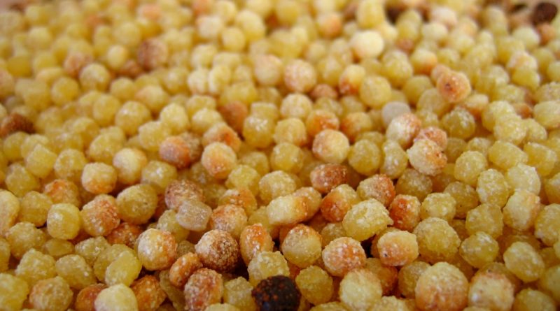 Fregola sarda, pasta di semola, per ricette tradizionale