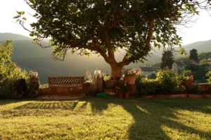 Paesaggio che mostra la bellezza della natura a Chianti 