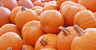 Ricetta per torta salata di zucca