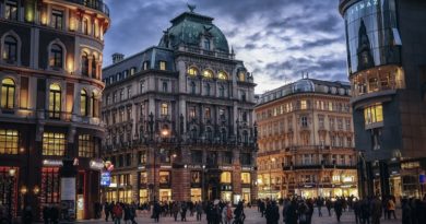 Centro di Vienna