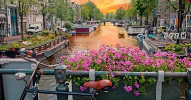Amsterdam cosa vedere