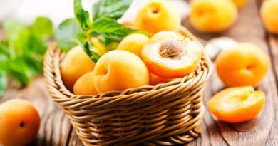 Ricette con albicocche