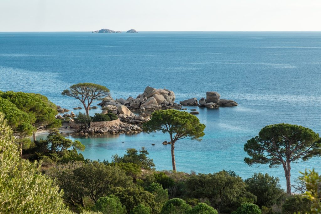 Spiaggia della Palombaggia in Corsica tra le più belle al mondo 
