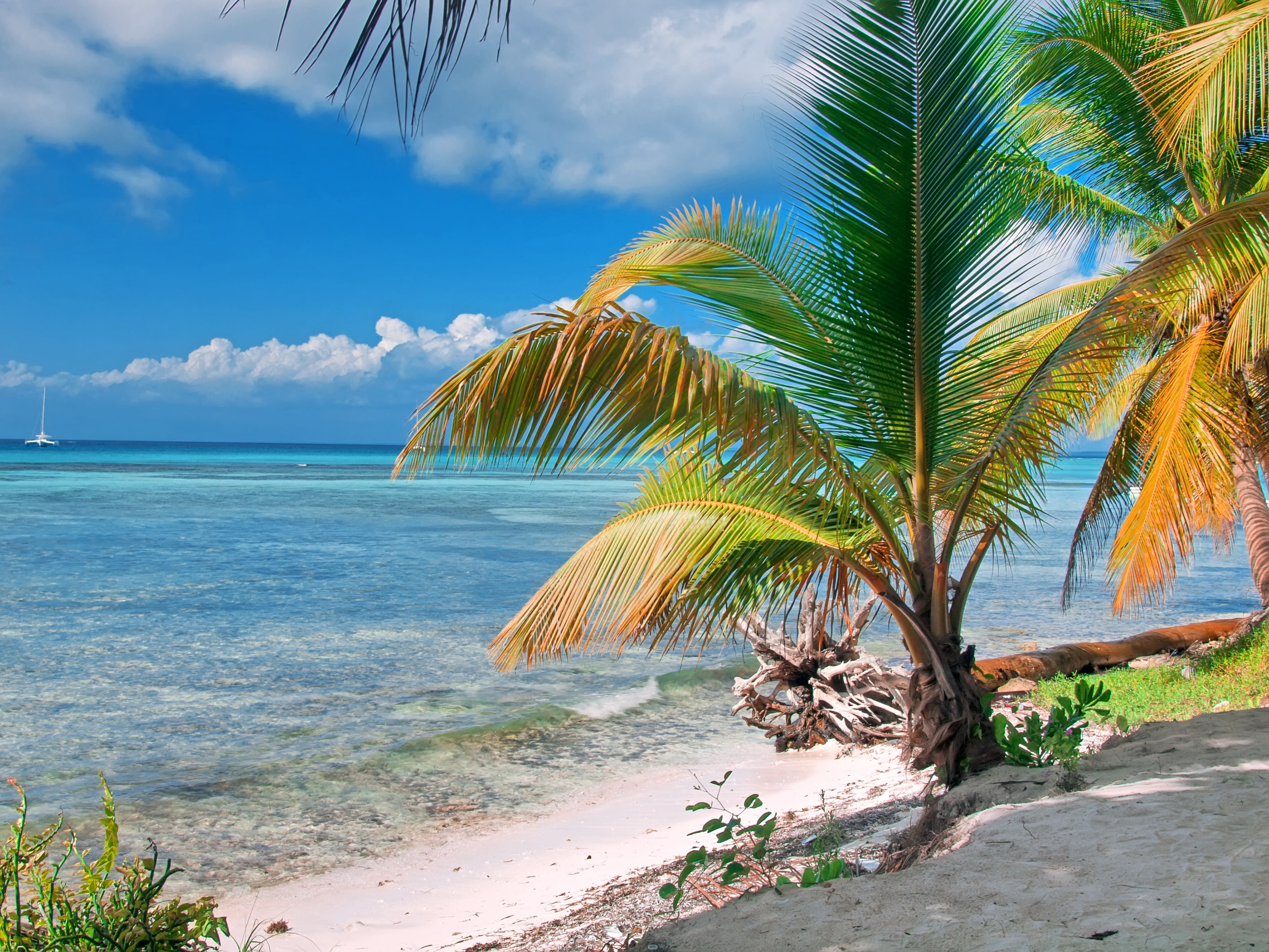 La repubblica Domenicana un paradiso terrestre